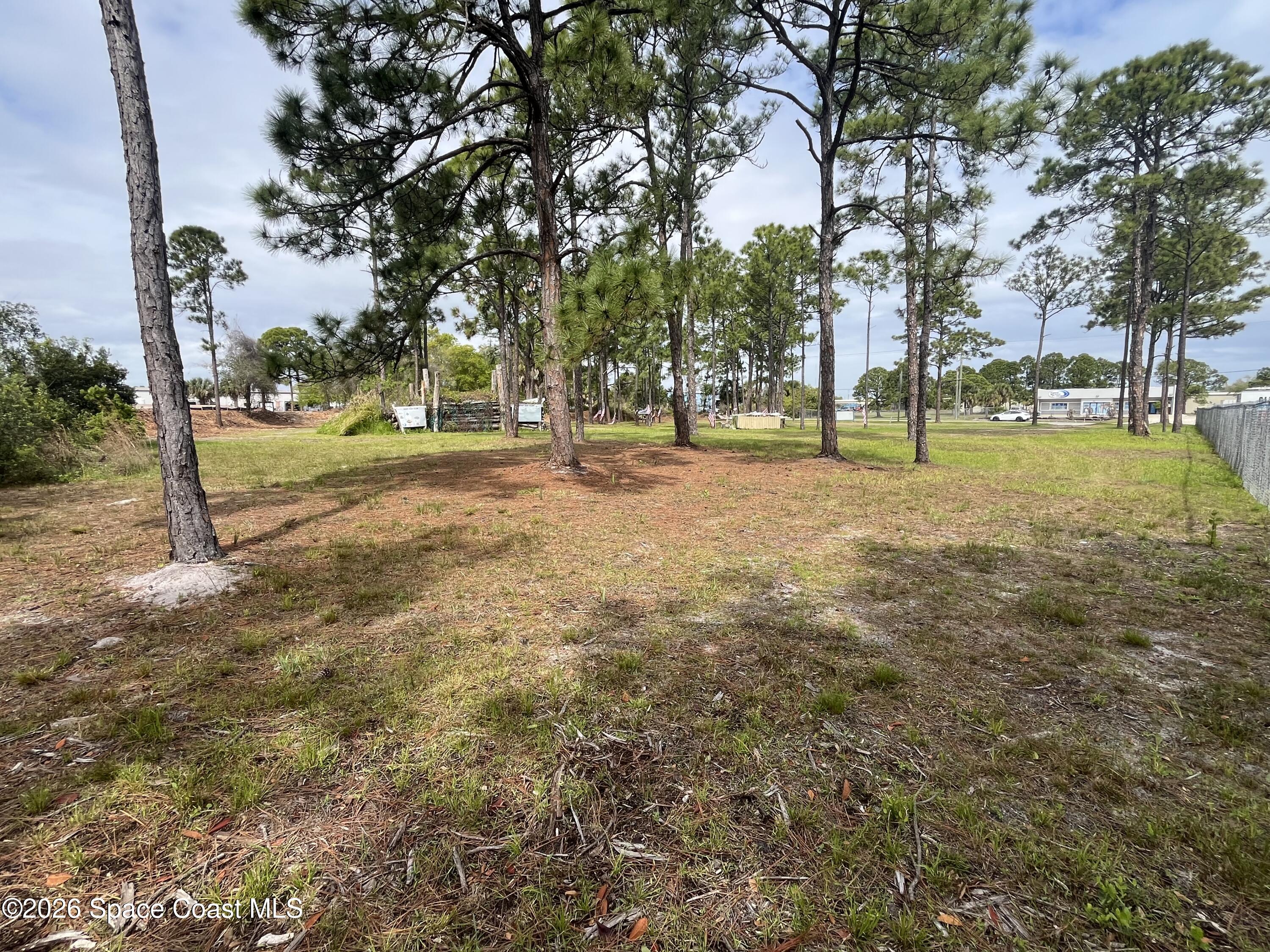 275 Paint Street Rockledge, FL 32955 - Photo 5 of 18 a view of a tree in a yard