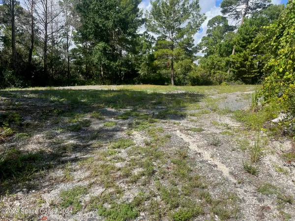 a view of a field with trees in background