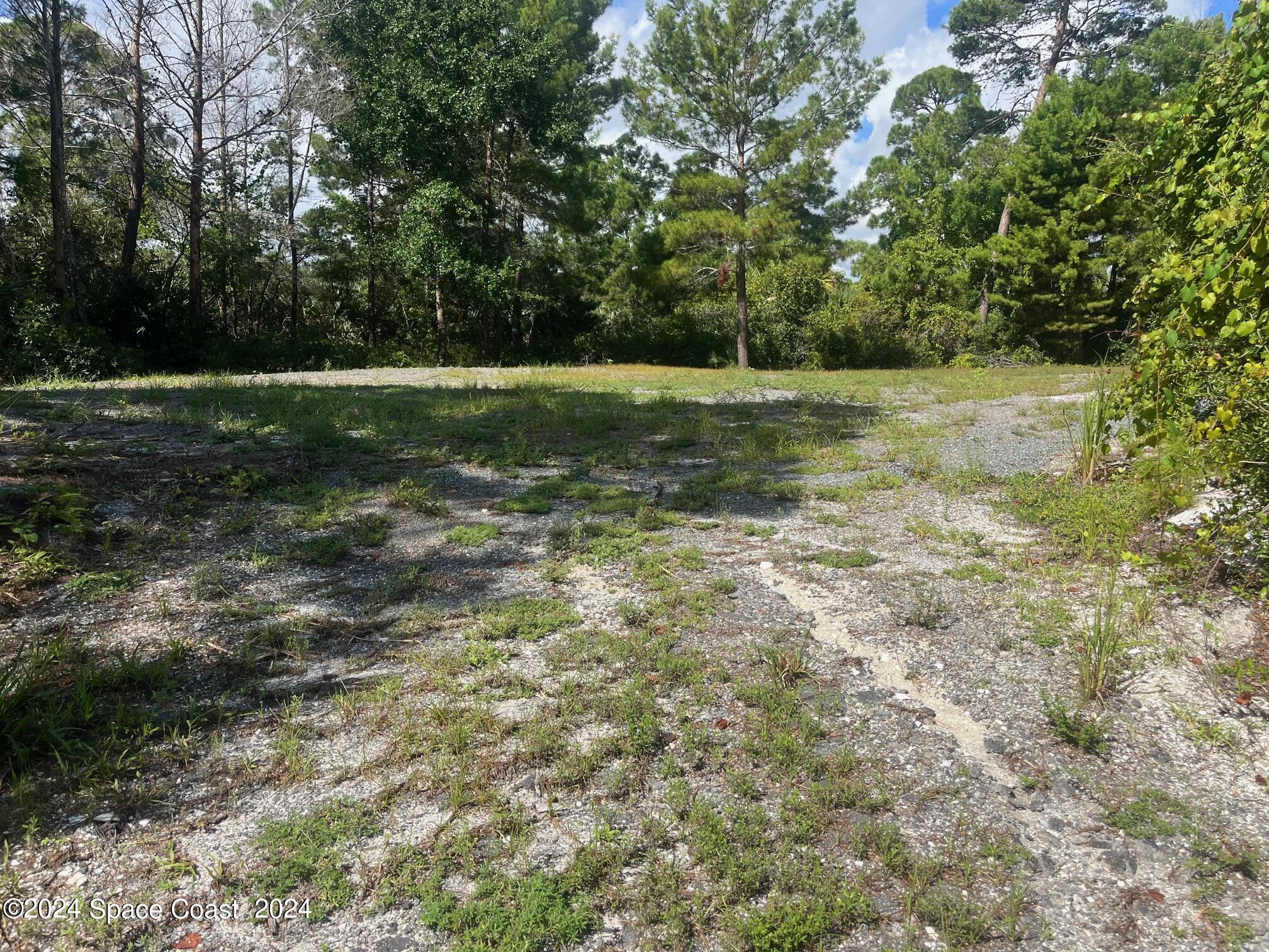 275 Paint Street Rockledge, FL 32955 - Photo 9 of 18 a view of a field with trees in background