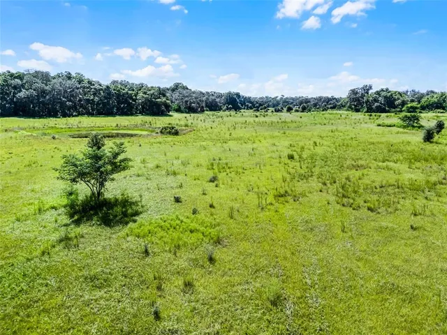 a view of a big yard with lots of green space and mountain view