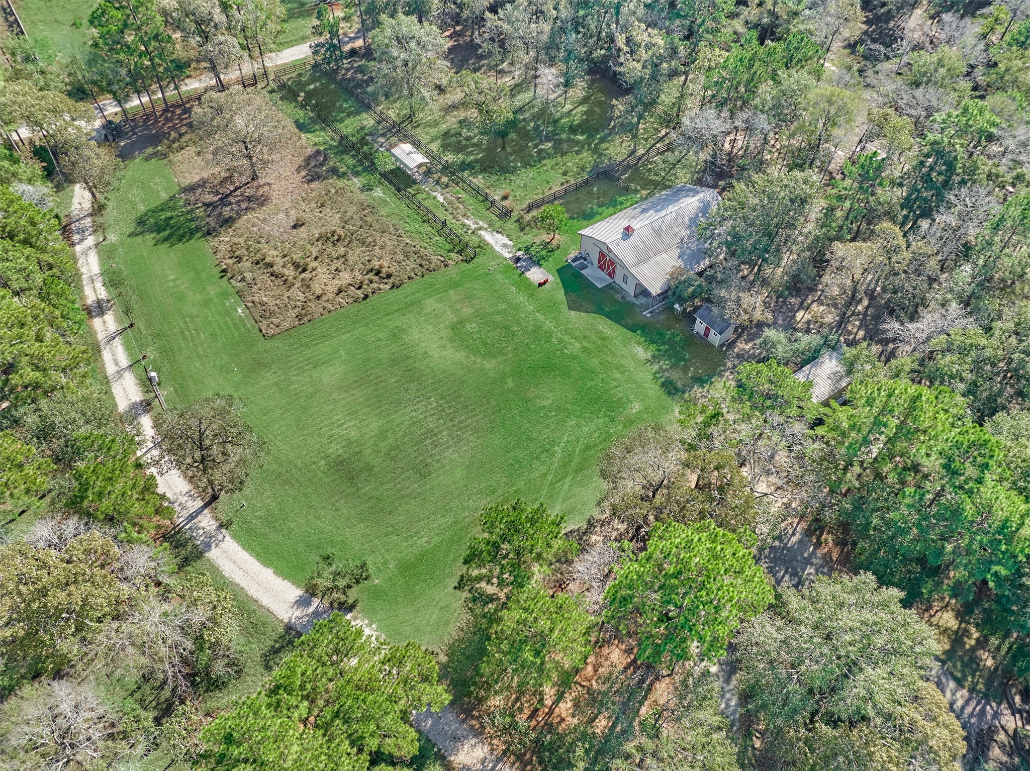 0 Koenig Lane Conroe, TX 77384 - Photo 13 of 19 Bring your builder! 1.5 acres of untouched beauty is ready to be transformed!