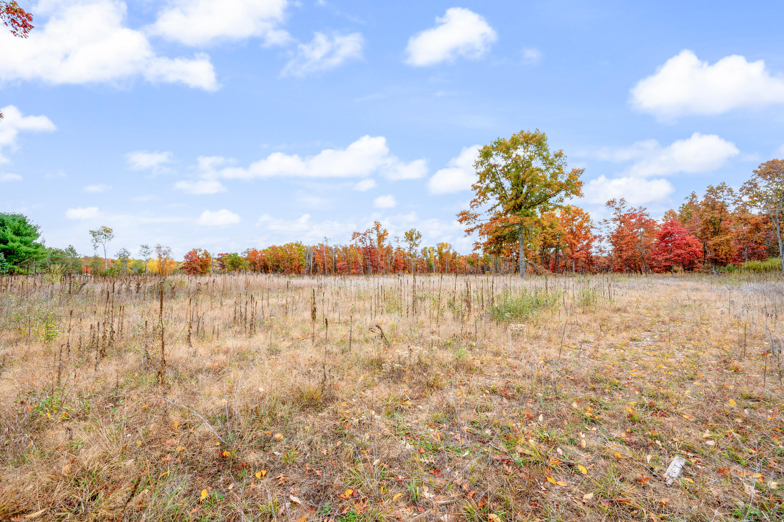 16 16 Mile Road Big Rapids, MI 49307 - Photo 13 of 26 VL-16MileRd-BR-2
