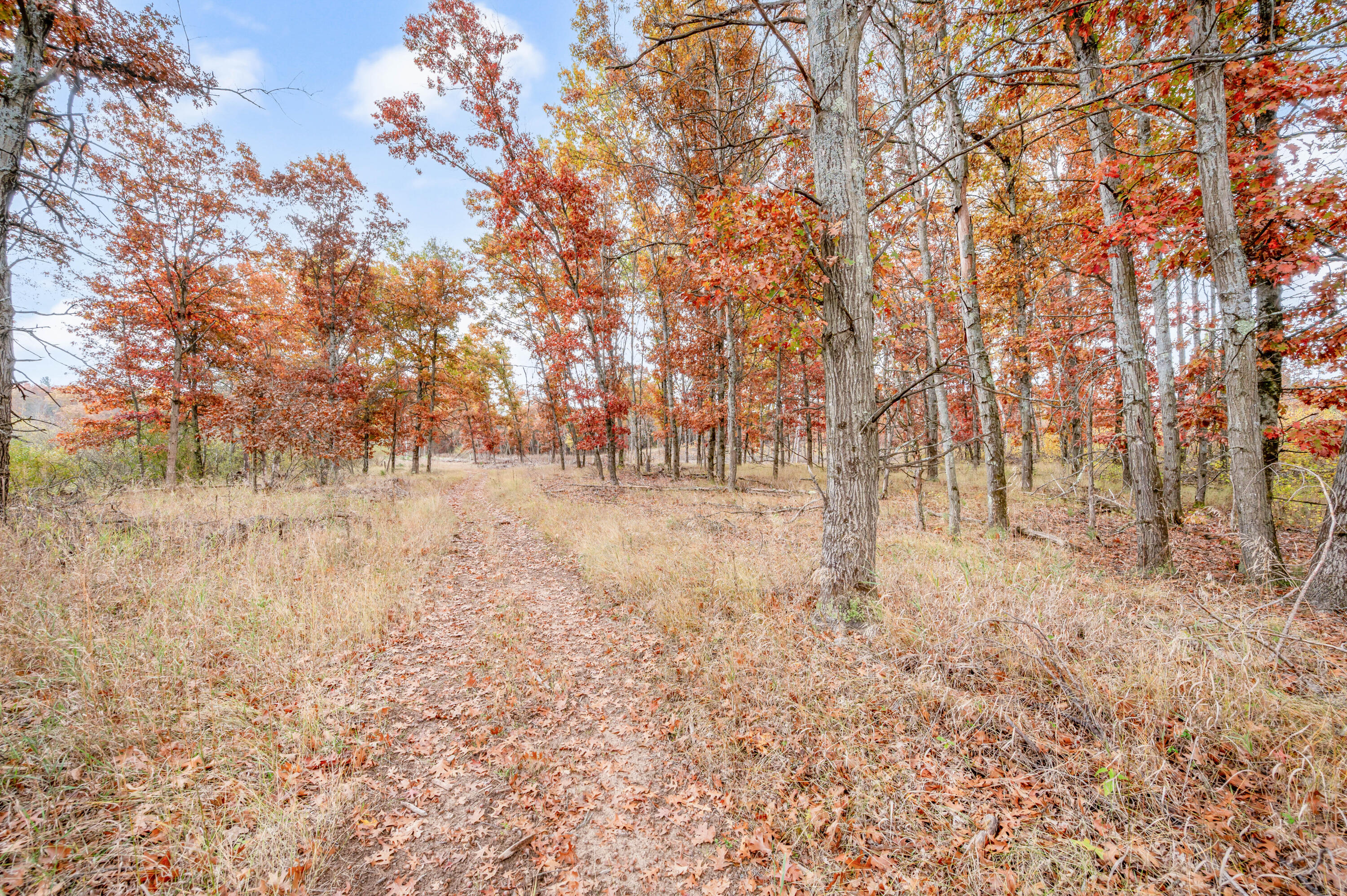 16 16 Mile Road Big Rapids, MI 49307 - Photo 15 of 26 VL-16MileRd-BR-6