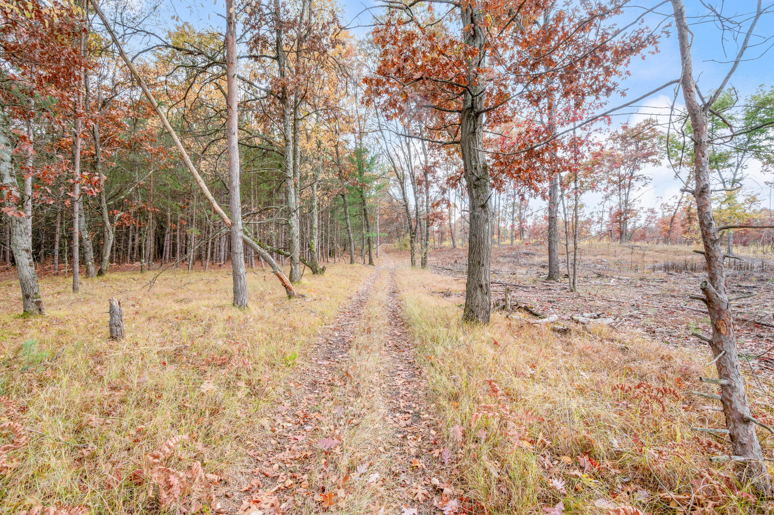 16 16 Mile Road Big Rapids, MI 49307 - Photo 16 of 26 VL-16MileRd-BR-8