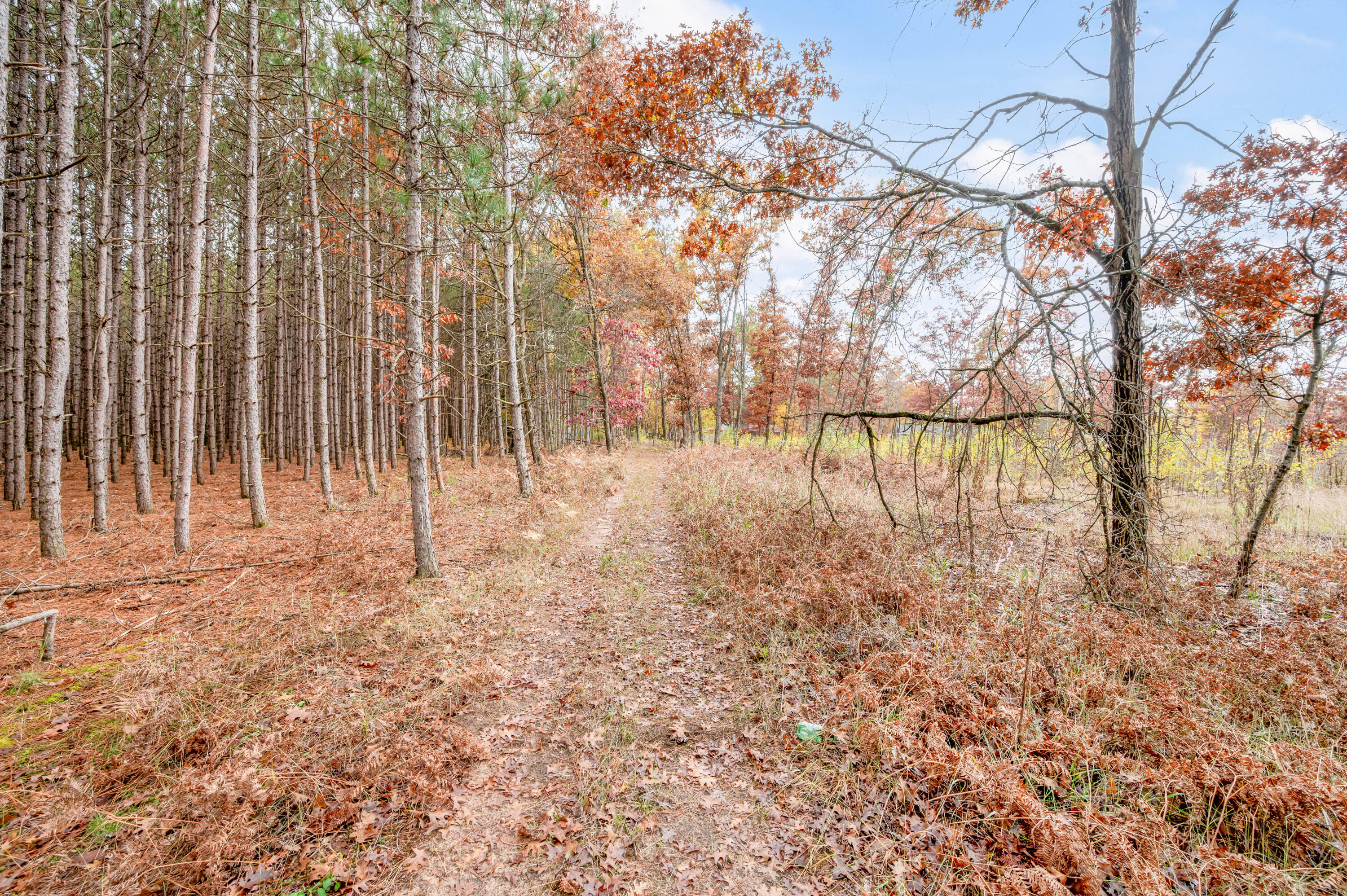 16 16 Mile Road Big Rapids, MI 49307 - Photo 17 of 26 VL-16MileRd-BR-11