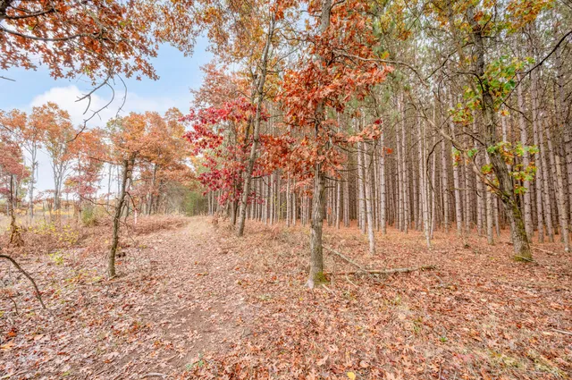 $165,000 | 16 16 Mile Road, Big Rapids, MI 49307