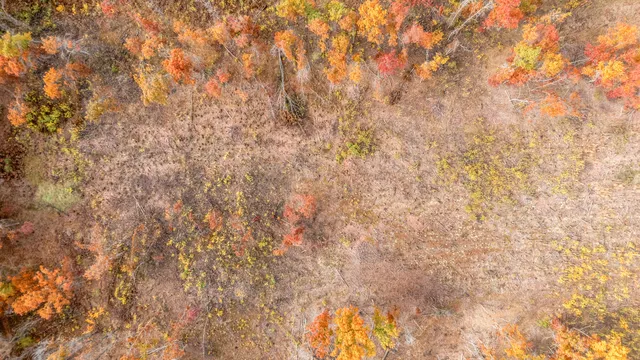 $165,000 | 16 16 Mile Road, Big Rapids, MI 49307