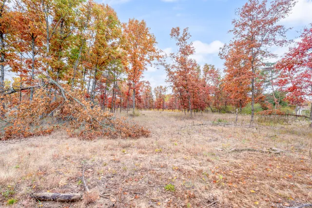 $165,000 | 16 16 Mile Road, Big Rapids, MI 49307