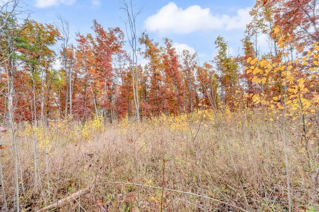 $165,000 | 16 16 Mile Road, Big Rapids, MI 49307