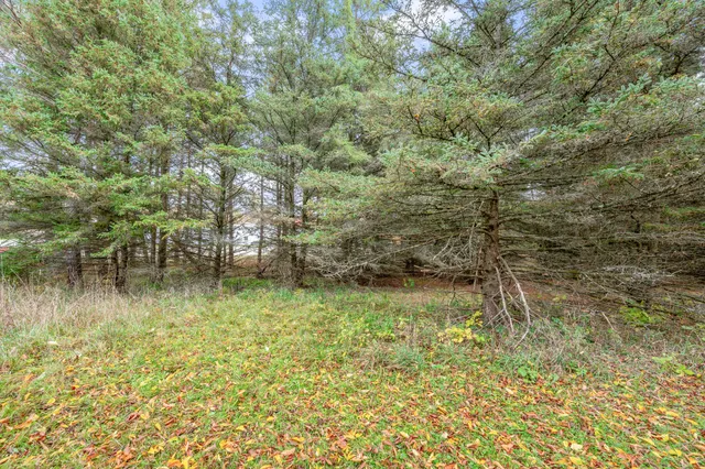 $165,000 | 16 16 Mile Road, Big Rapids, MI 49307