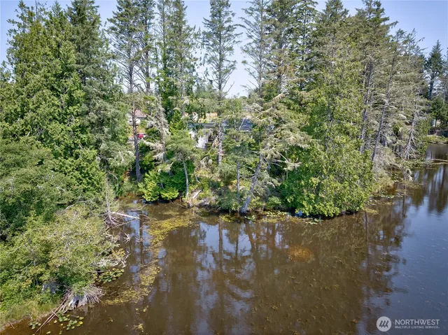 a view of a lake from a yard