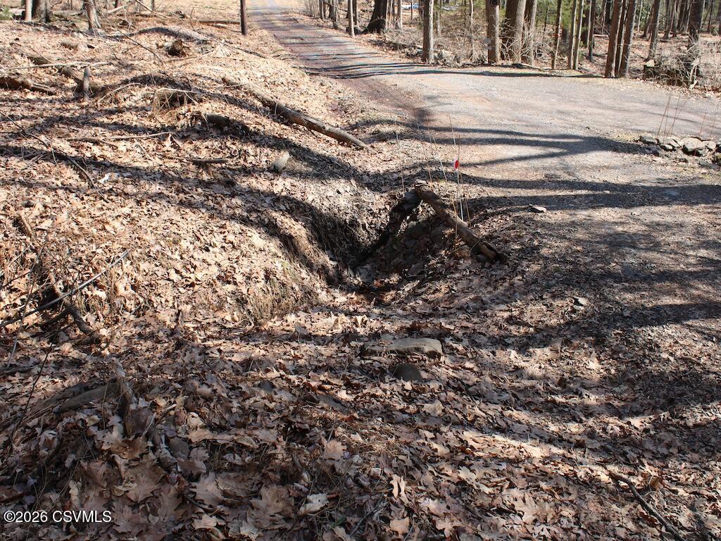 Squirrel Lane Shickshinny, PA 18655 - Photo 20 of 50