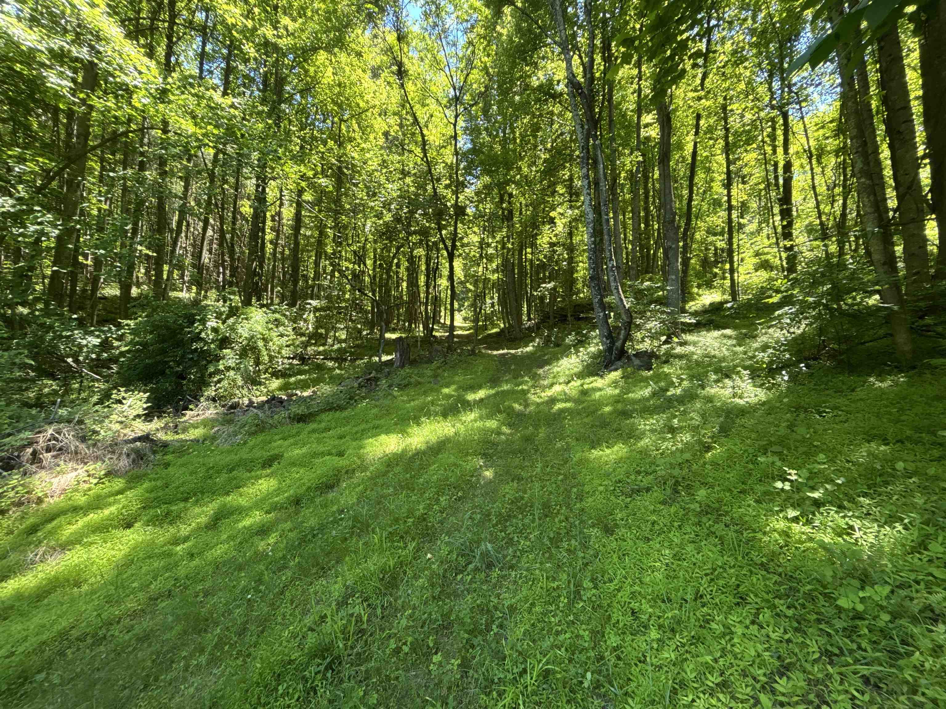Jordan Hollow Road Stanley, VA 22851 - Photo 20 of 26