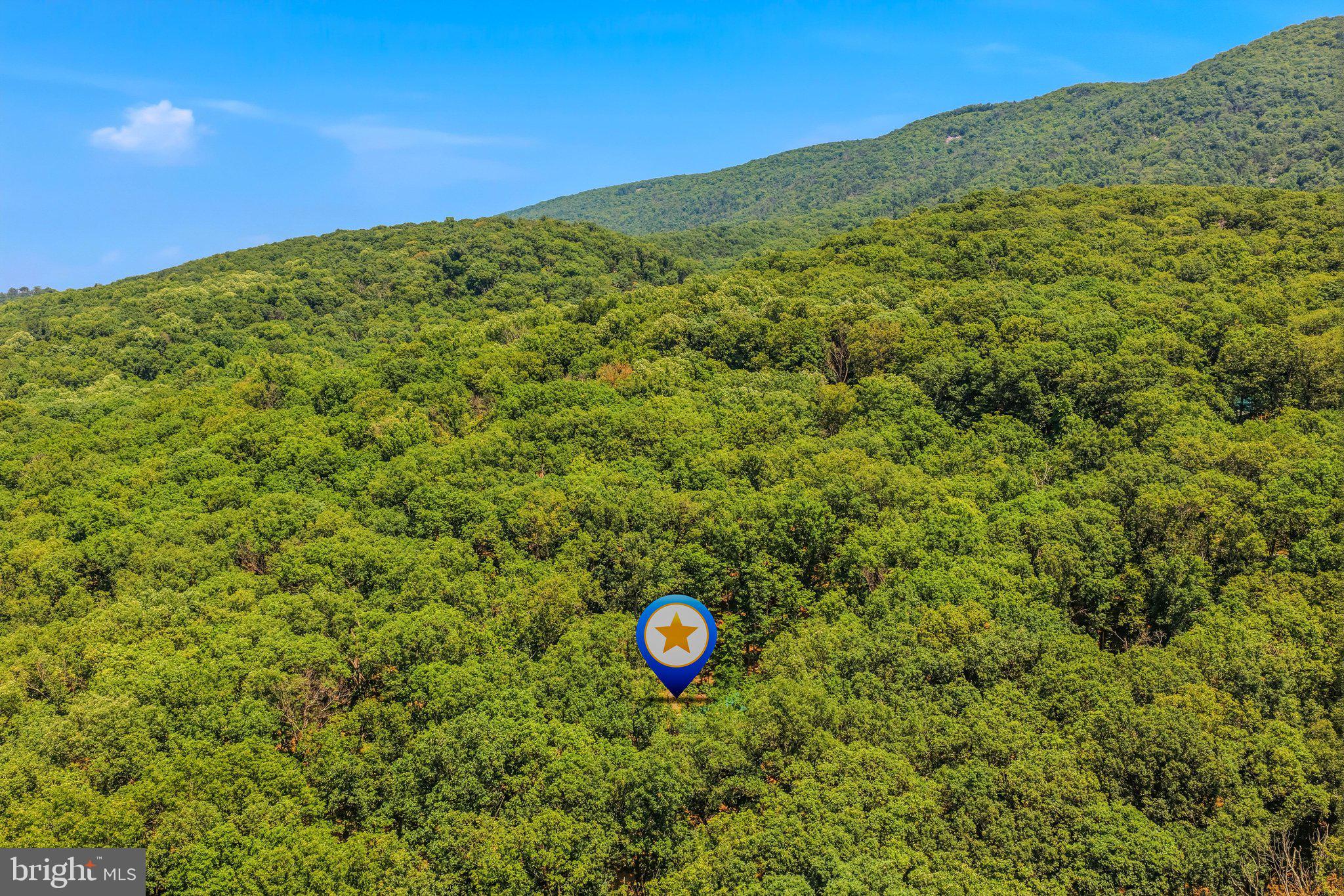 250 Flat Ridge Road Great Cacapon, WV 25422 - Photo 52 of 60 Aerial View