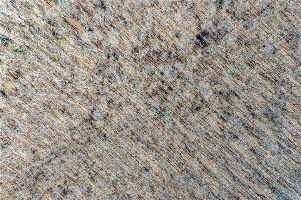 2 Lindley Road Buffalo, MO 65622 - Photo 13 of 57