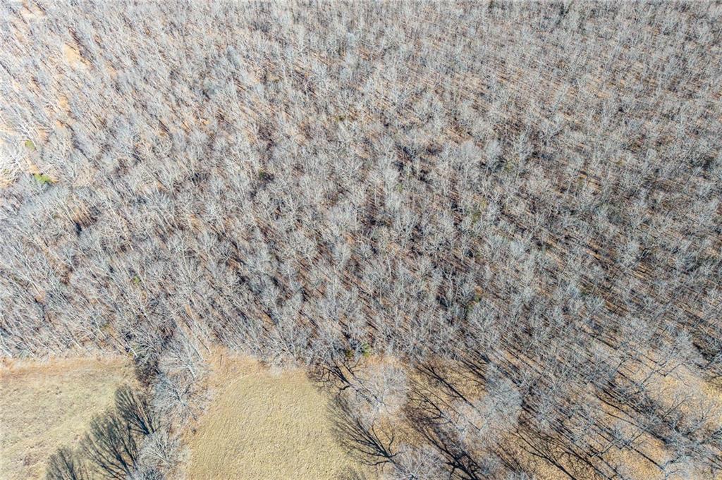 2 Lindley Road Buffalo, MO 65622 - Photo 23 of 57