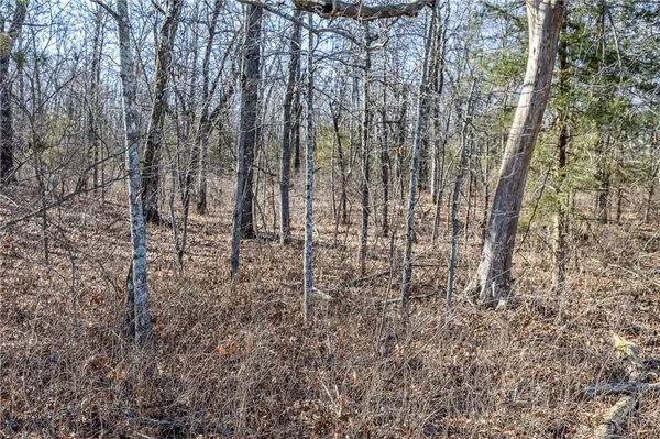 $110,000 | 2 Lindley Road, Buffalo, MO 65622