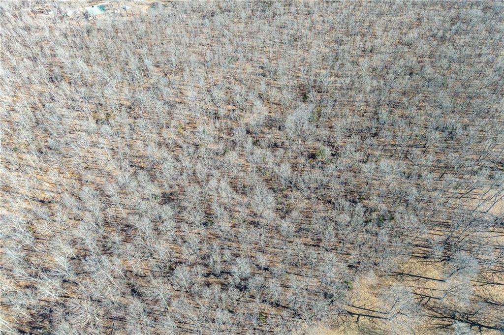 2 Lindley Road Buffalo, MO 65622 - Photo 34 of 57