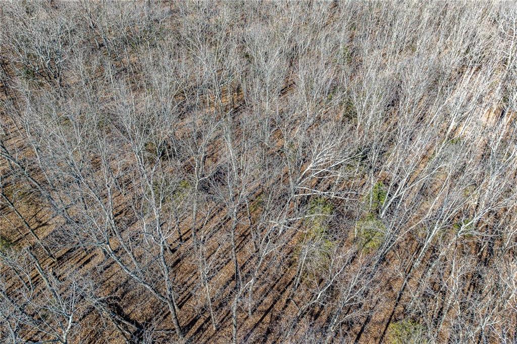 2 Lindley Road Buffalo, MO 65622 - Photo 36 of 57