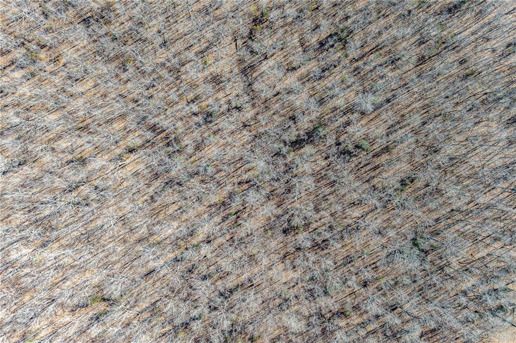 2 Lindley Road Buffalo, MO 65622 - Photo 43 of 57