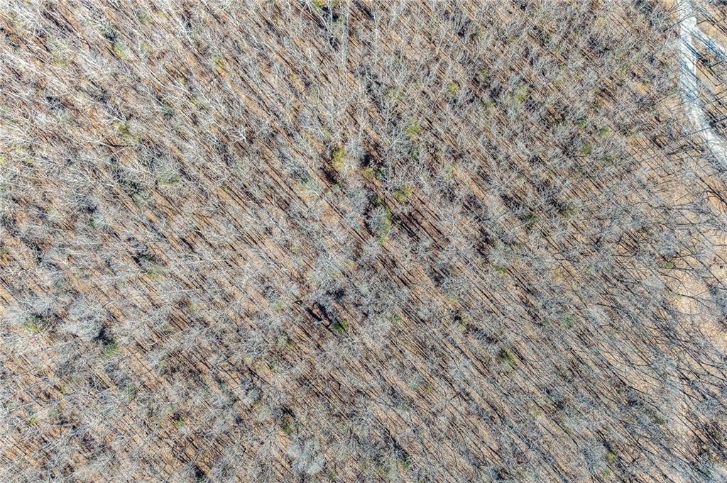 2 Lindley Road Buffalo, MO 65622 - Photo 52 of 57