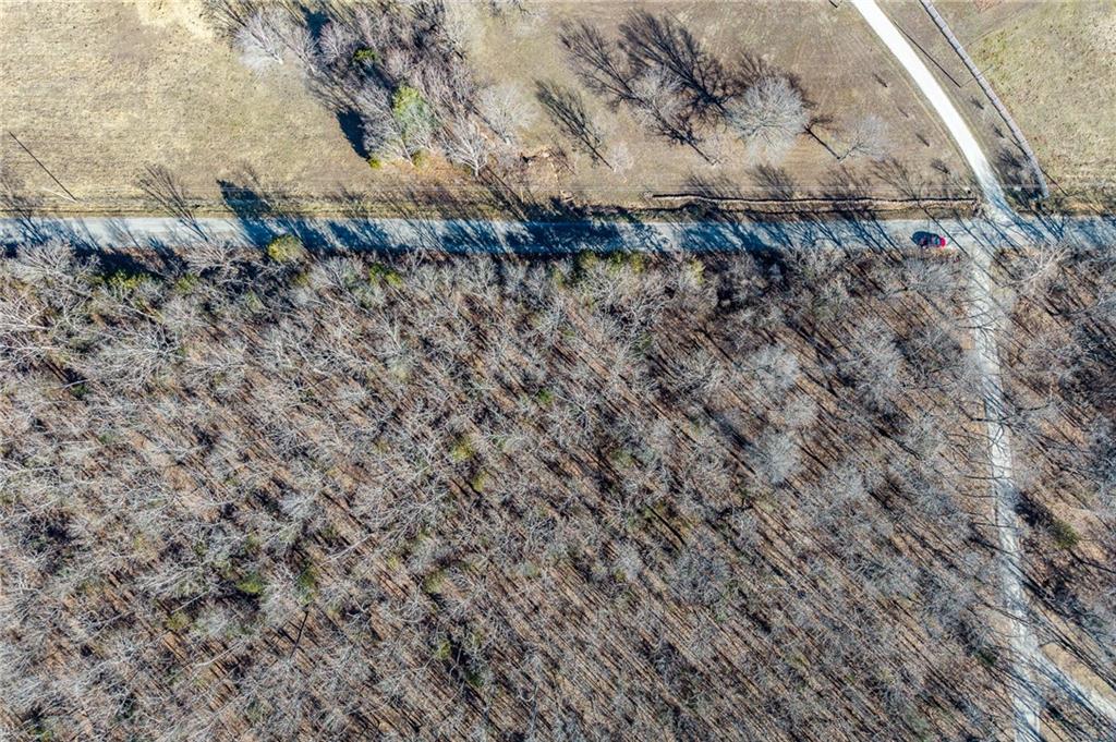 2 Lindley Road Buffalo, MO 65622 - Photo 6 of 57