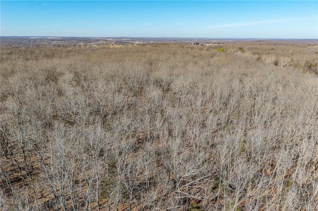 2 Lindley Road Buffalo, MO 65622 - Photo 7 of 57