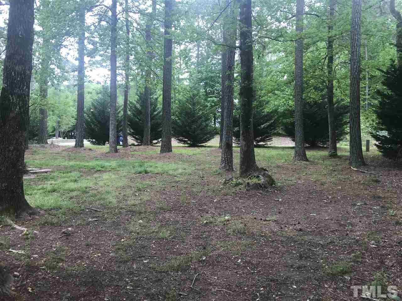 1534 Middle Ridge Drive Willow Spring, NC 27592 - Photo 10 of 23 View of Side Yard.