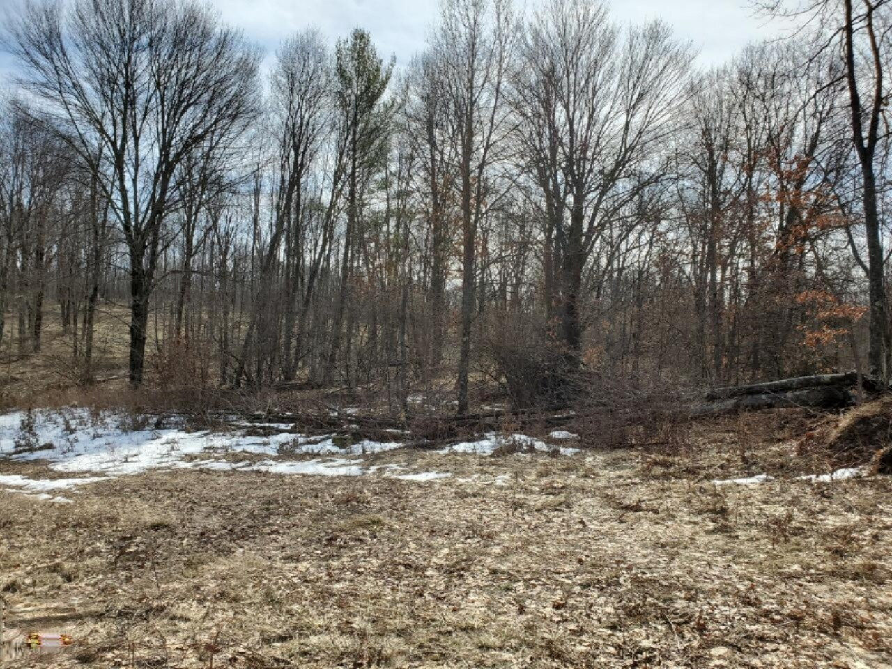 V-1 Boltwood Road Reed City, MI 49677 - Photo 2 of 2 V1 (2)
