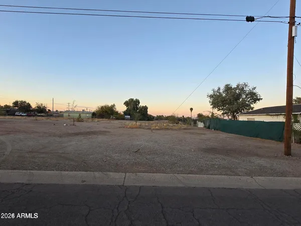 a view of a dry yard