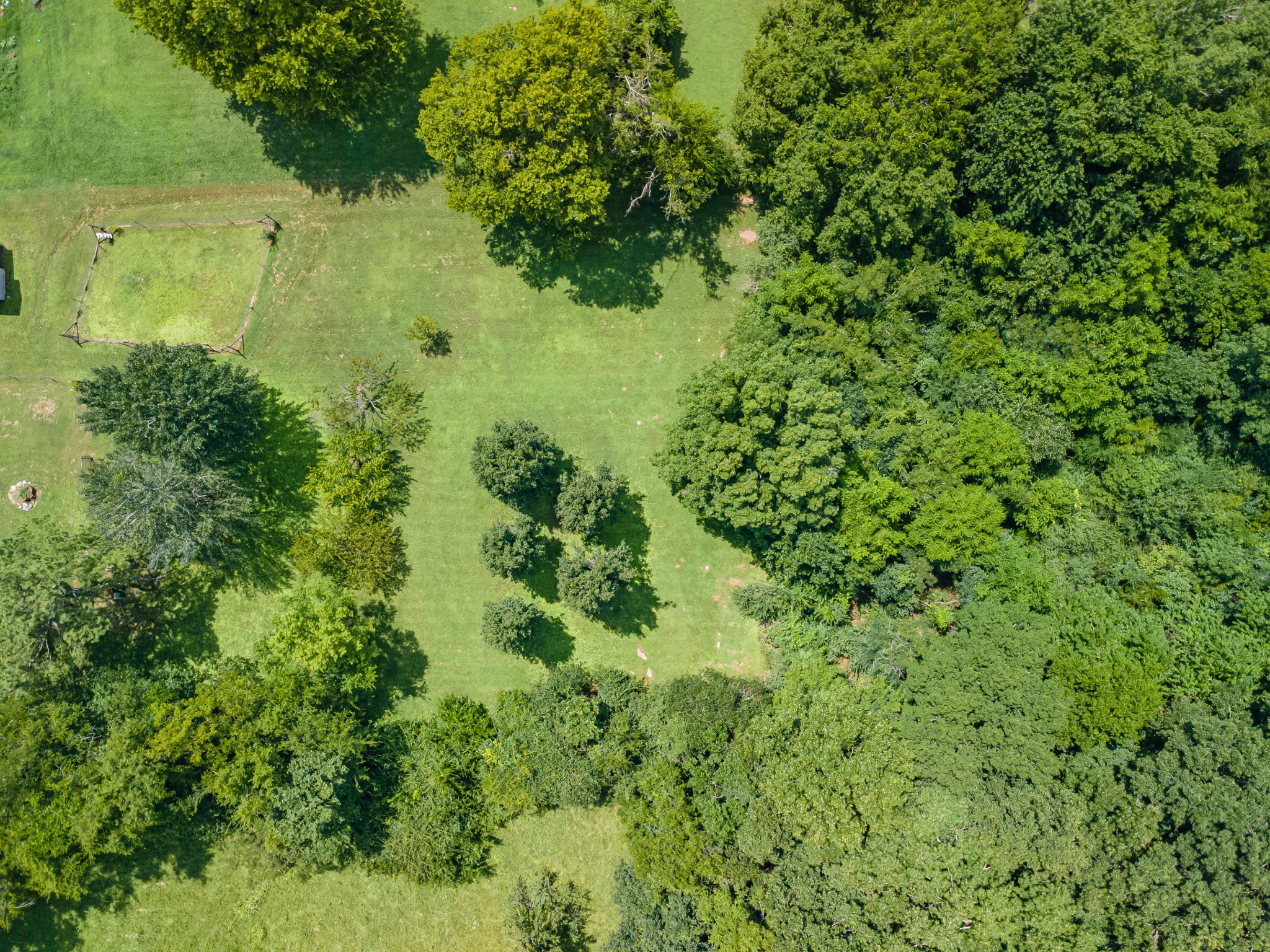 330 Holly Grove Road Lewisburg, TN 37091 - Photo 71 of 84