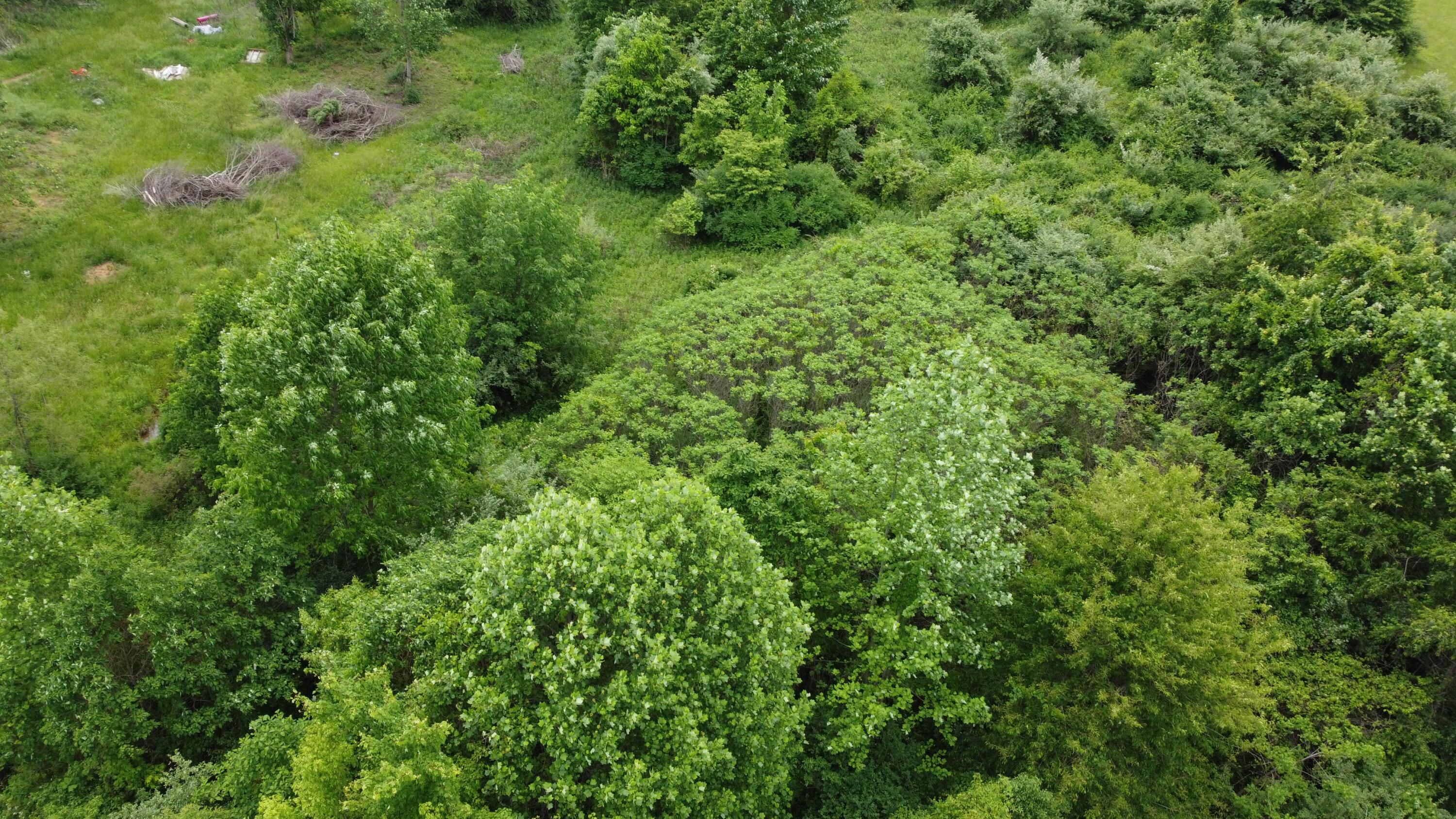 4311 Pine Grove Road Southwest Amanda, OH 43102 - Photo 36 of 43 DJI_0649