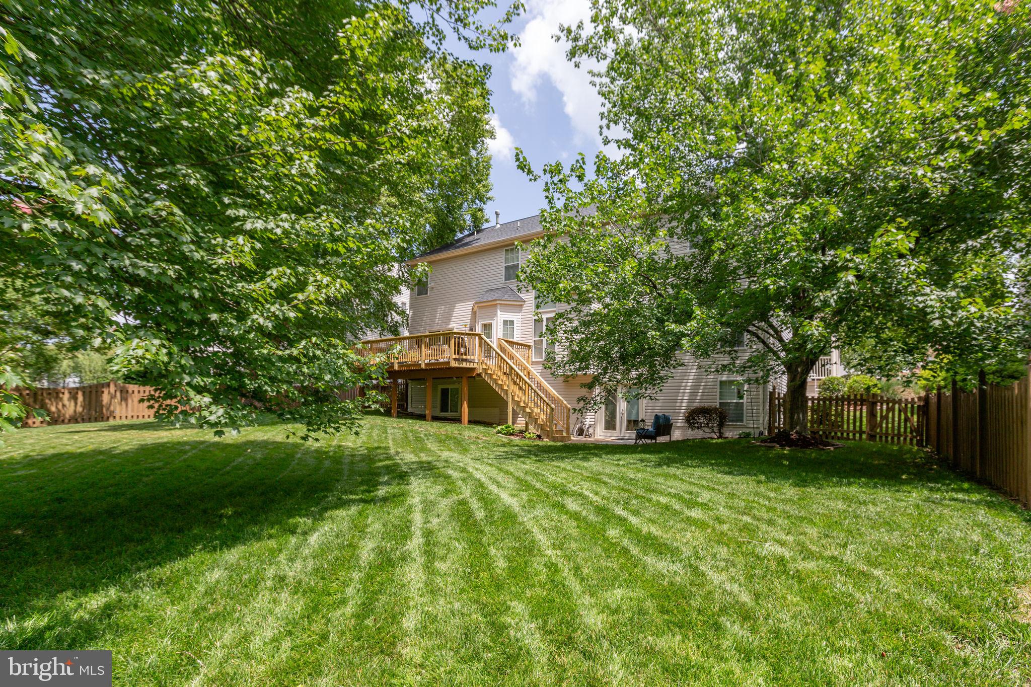24 Tavern Road Stafford, VA 22554 - Photo 19 of 31 Impeccably maintained rear yard