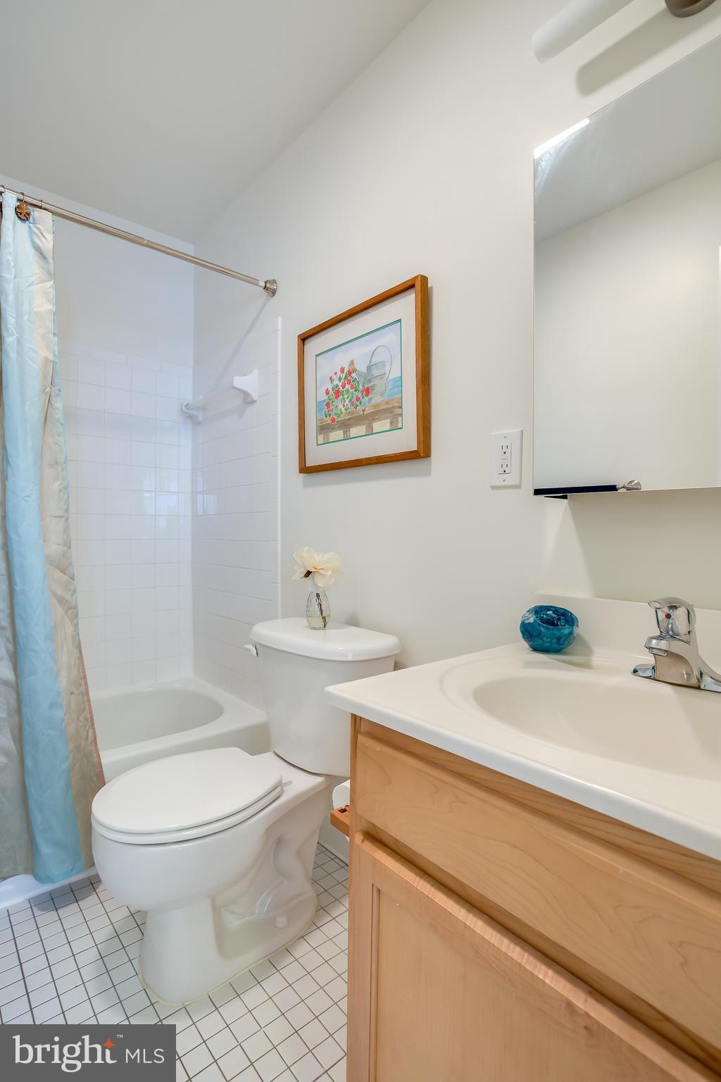 1441 Spring Road Northwest, Unit 301 Washington, DC 20010 - Photo 12 of 27 Bathroom is Clean and Bright