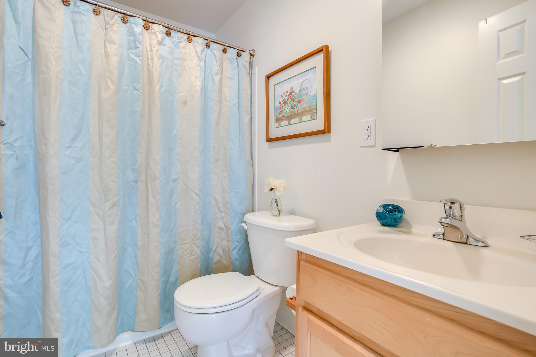 1441 Spring Road Northwest, Unit 301 Washington, DC 20010 - Photo 13 of 27 Spotless Bathroom