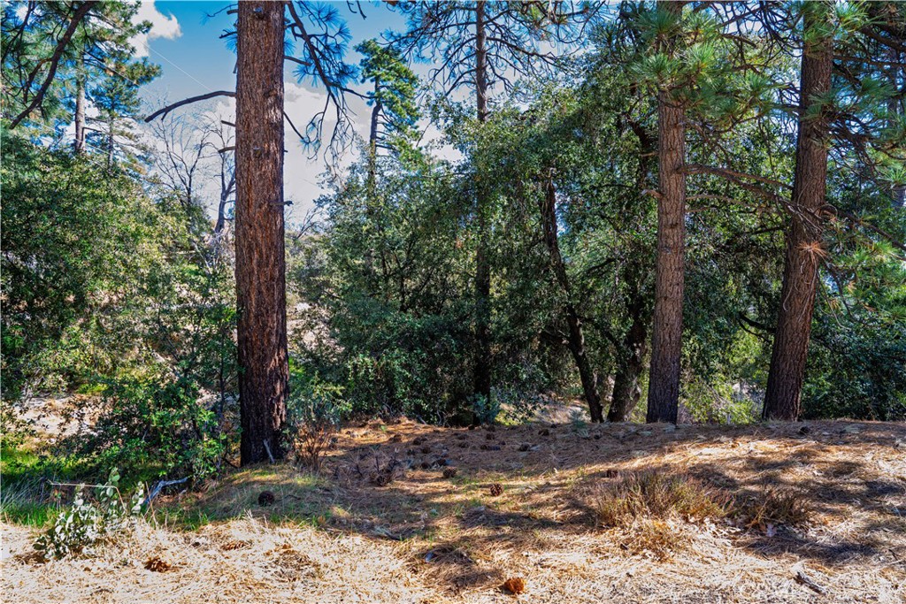 1 Mountain View Drive Idyllwild, CA 92549 - Photo 11 of 62