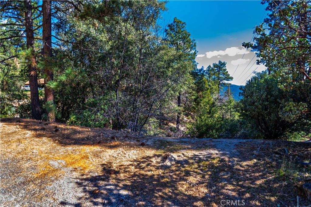 1 Mountain View Drive Idyllwild, CA 92549 - Photo 14 of 62