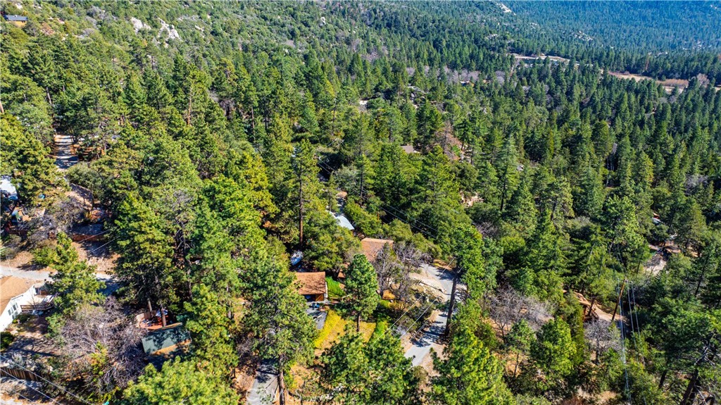 1 Mountain View Drive Idyllwild, CA 92549 - Photo 39 of 62