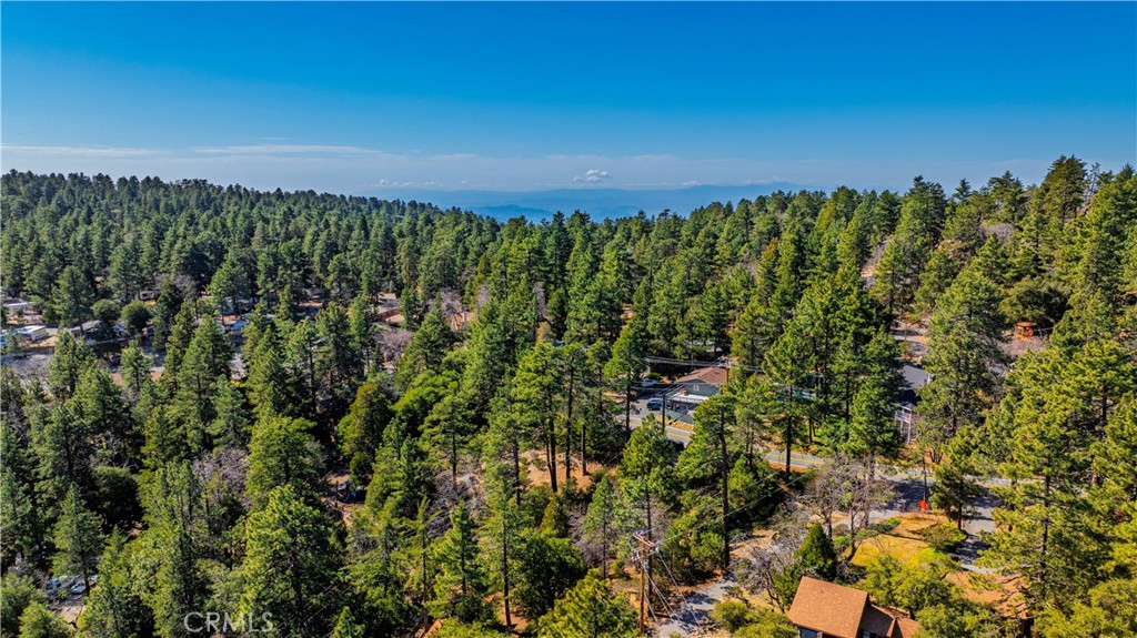 1 Mountain View Drive Idyllwild, CA 92549 - Photo 4 of 62