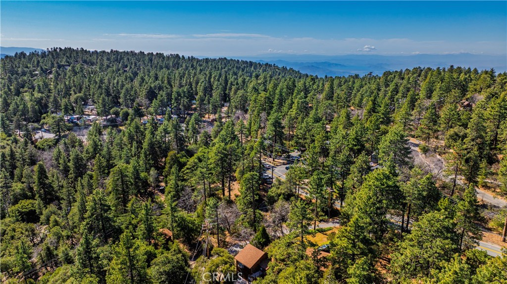 1 Mountain View Drive Idyllwild, CA 92549 - Photo 42 of 62