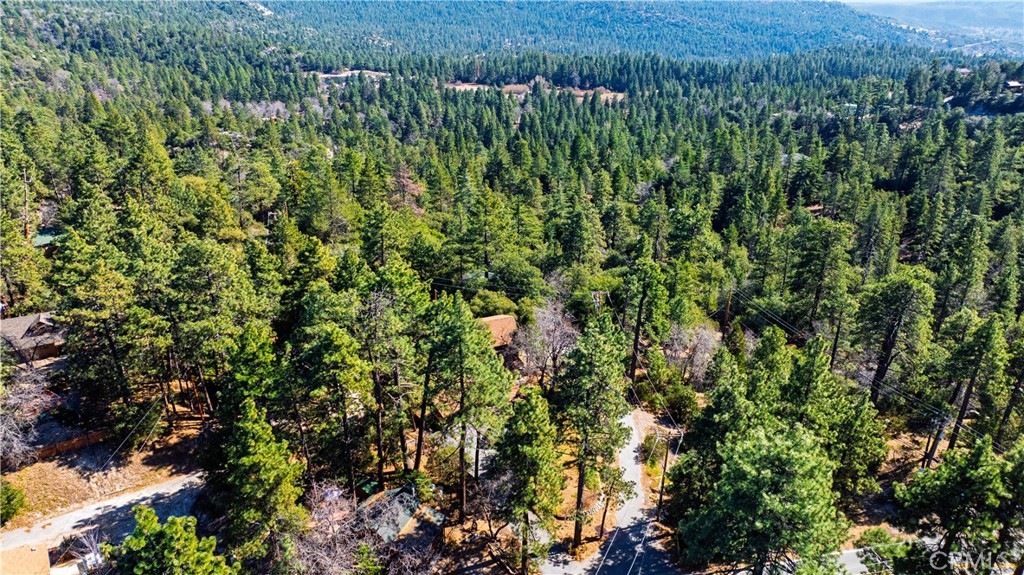 1 Mountain View Drive Idyllwild, CA 92549 - Photo 43 of 62