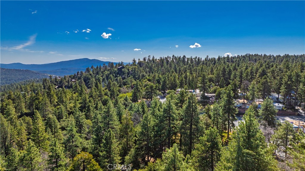 1 Mountain View Drive Idyllwild, CA 92549 - Photo 46 of 62