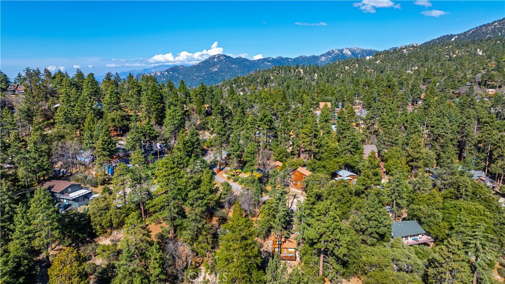 1 Mountain View Drive Idyllwild, CA 92549 - Photo 47 of 62