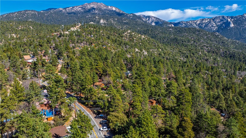 1 Mountain View Drive Idyllwild, CA 92549 - Photo 48 of 62