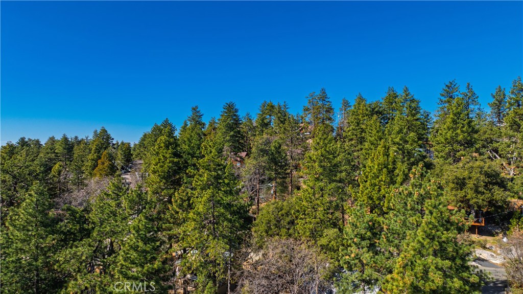 1 Mountain View Drive Idyllwild, CA 92549 - Photo 52 of 62