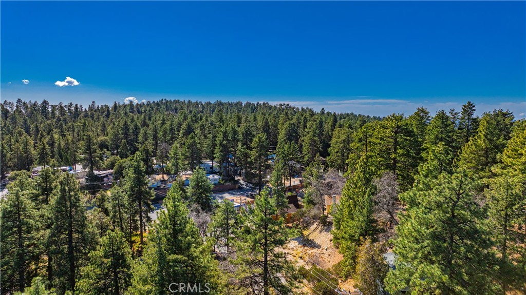 1 Mountain View Drive Idyllwild, CA 92549 - Photo 55 of 62