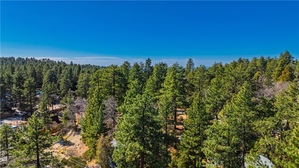 1 Mountain View Drive Idyllwild, CA 92549 - Photo 60 of 62