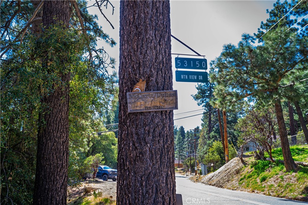 1 Mountain View Drive Idyllwild, CA 92549 - Photo 8 of 62