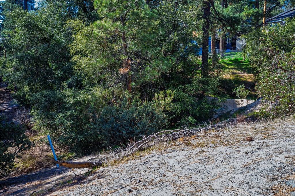 1 Mountain View Drive Idyllwild, CA 92549 - Photo 9 of 62