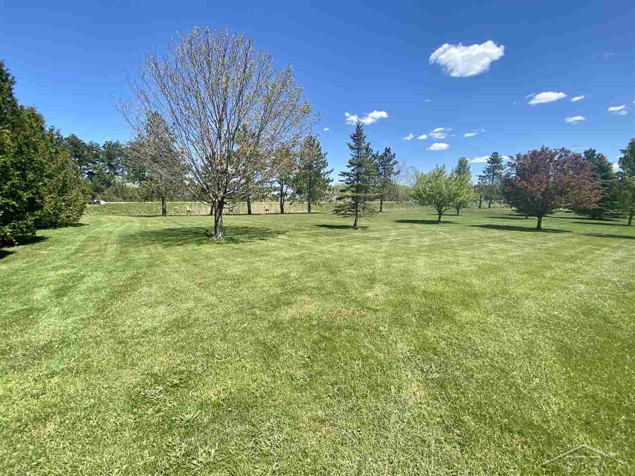3601 Millington Road Millington, MI 48746 - Photo 32 of 35 Front yard